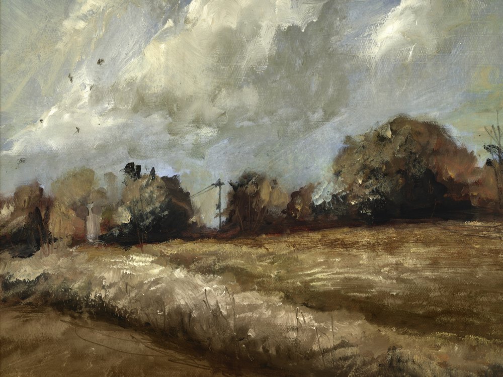 Dęby autorstwa Dan Hobday