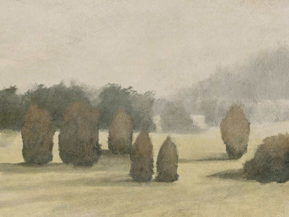Widok na Woodbury autorstwa Dan Hobday
