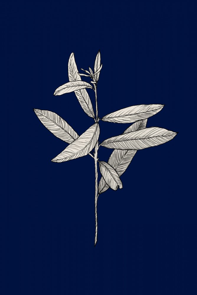  autorstwa Danushka Abeygoda