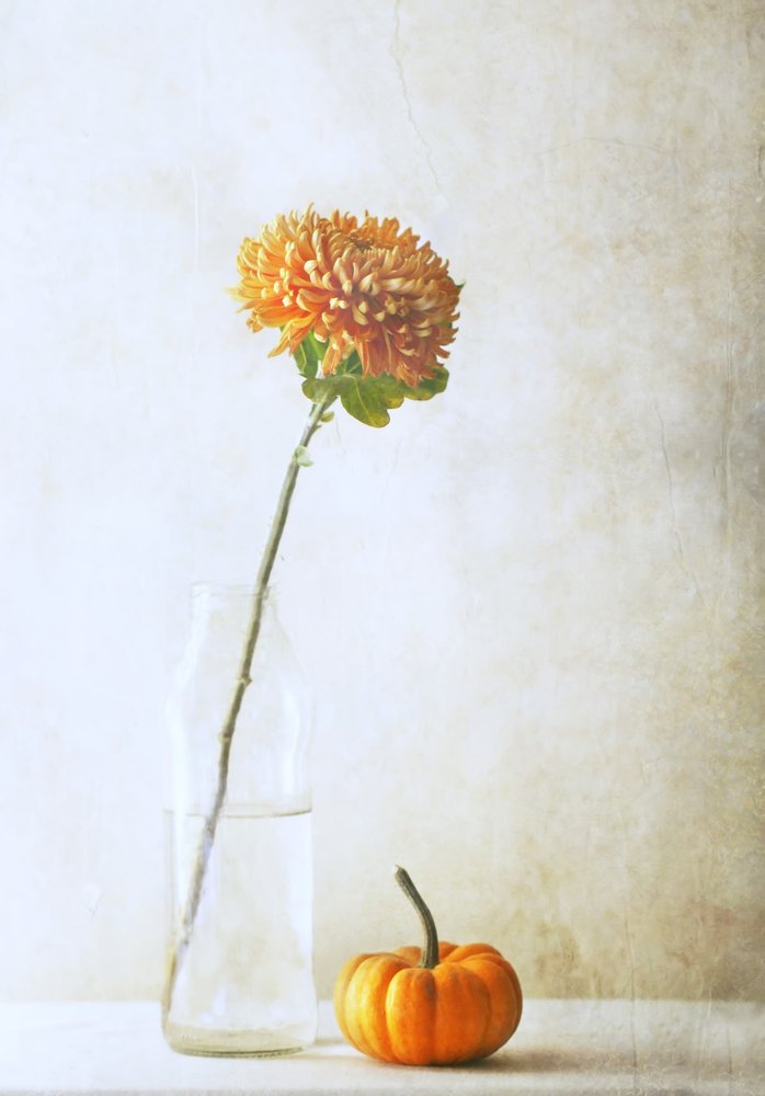  autorstwa Delphine Devos