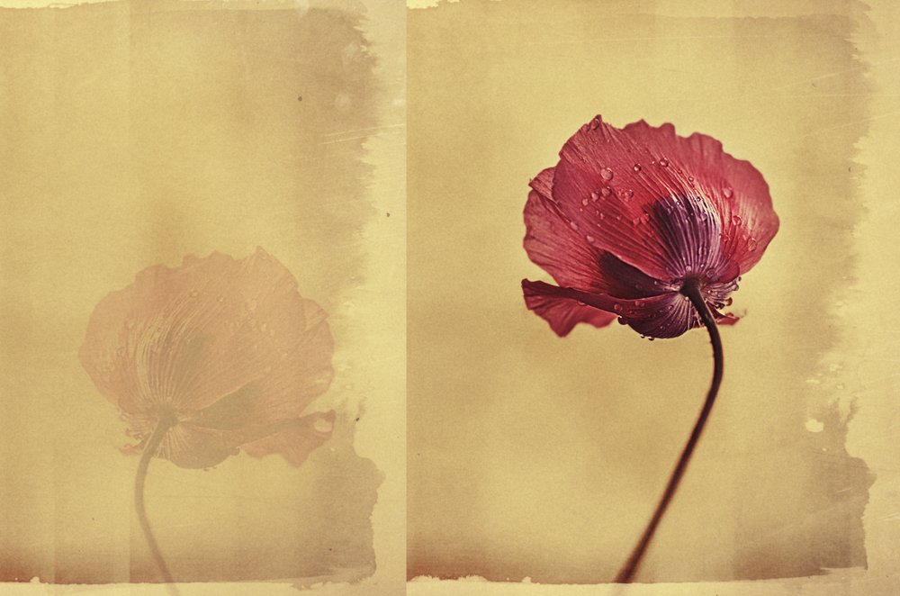 Vintage
