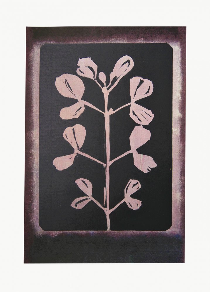 Mroczna botaniczna sylwetka autorstwa Doris Schmitz