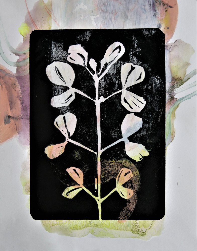 Pastelowe studium botaniczne autorstwa Doris Schmitz