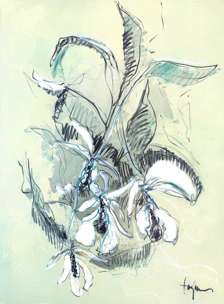 Delikatny szkic orchidei autorstwa Dorothy Fagan
