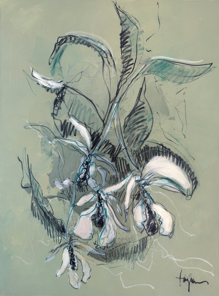 Elegancki szkic orchidei autorstwa Dorothy Fagan
