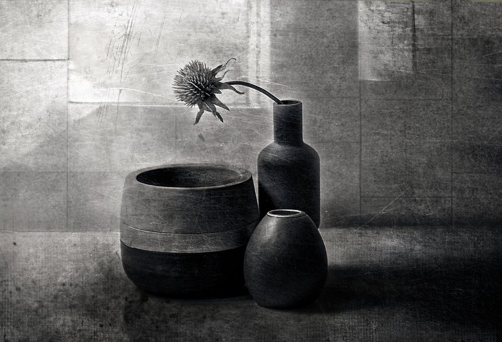 Statki „Moody Thistle” autorstwa Elena Arjona