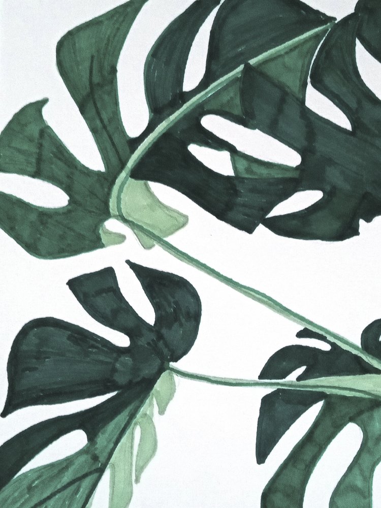 Streszczenie: Zielona monstera autorstwa Elizabeth C