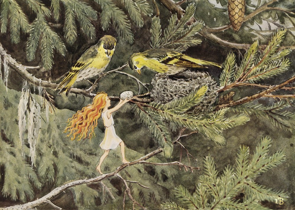 „Jajo słońca” (1932) Ptaki autorstwa Elsa Beskow