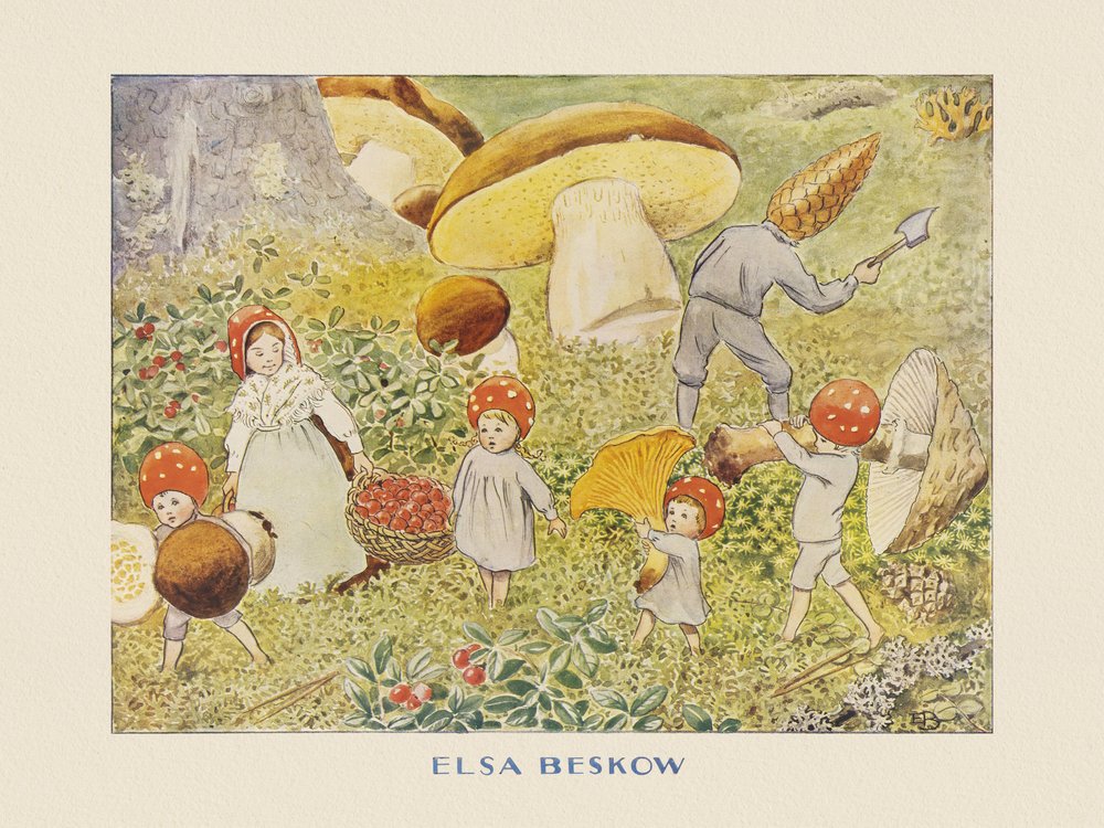 Dzieci z Tomtebo – Mushroom Kids autorstwa Elsa Beskow
