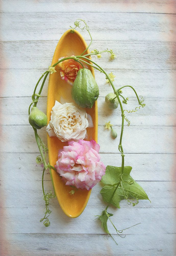 Rustic Rose i Chayote autorstwa Fangping Zhou