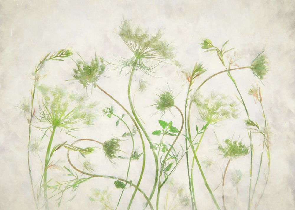 Soft Green Botanicals autorstwa Fangping Zhou