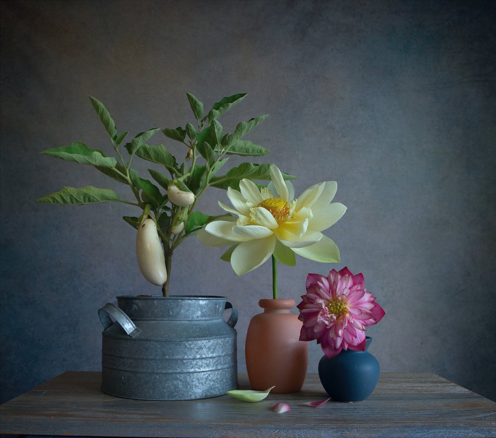 Białe bakłażany – Dahlia Still autorstwa Fangping Zhou