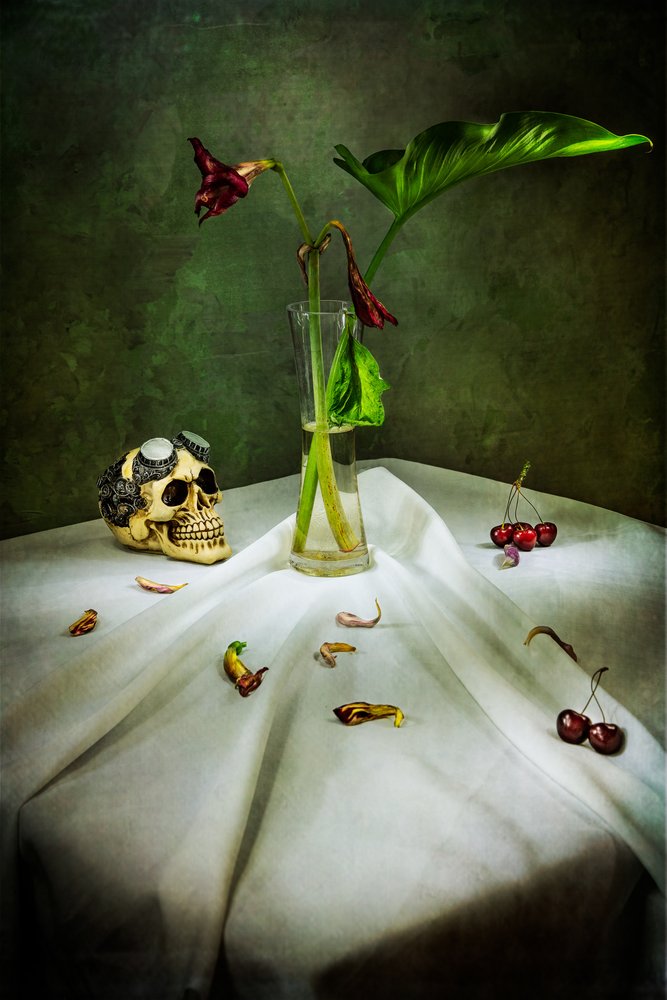 Gotycka czaszka Vanitas autorstwa Felice Angelino