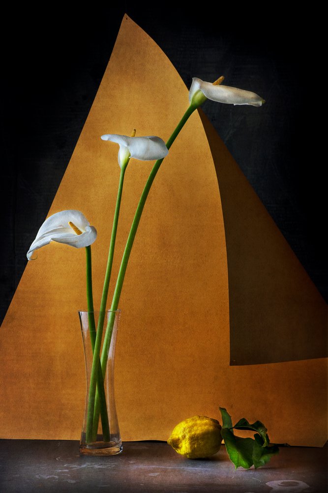  autorstwa Felice Angelino