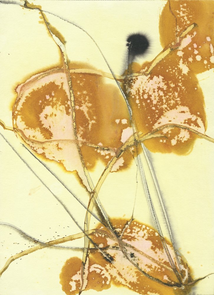  autorstwa Frederic Belaubre