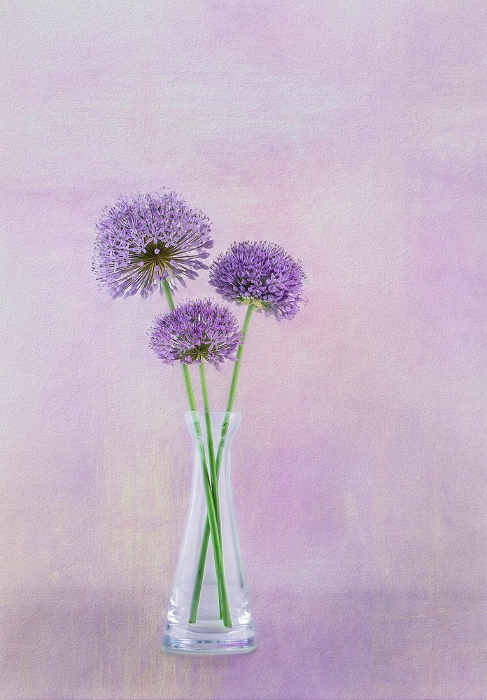  autorstwa Gaille Gray