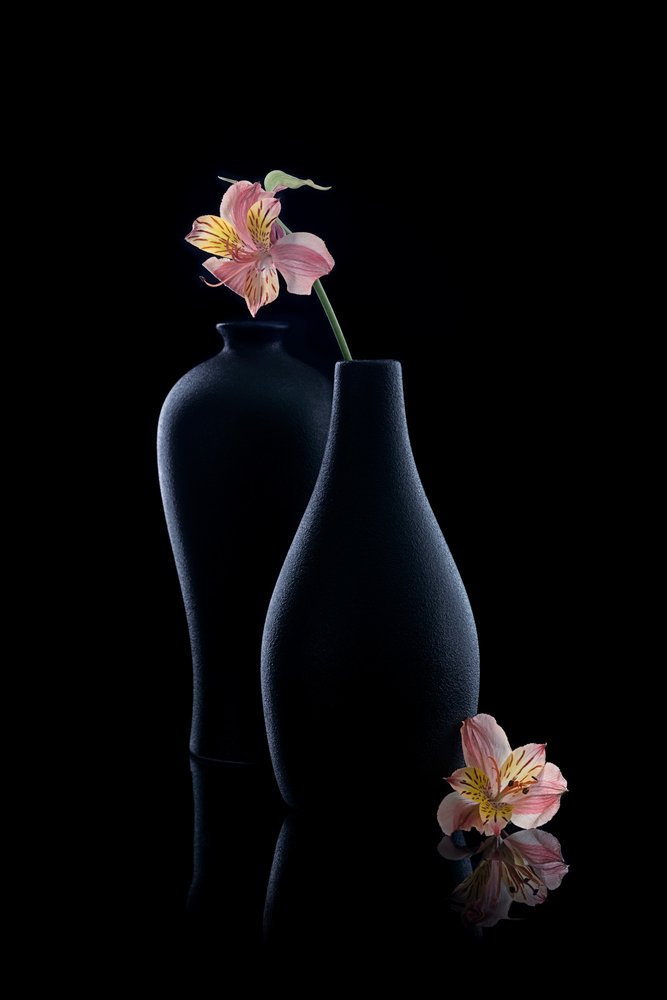 Elegancka alstremeria w wazonie autorstwa GaoSL