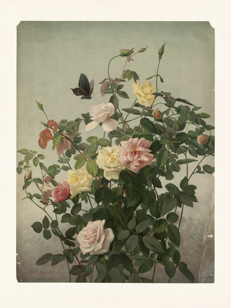  autorstwa George Cochran Lambdin