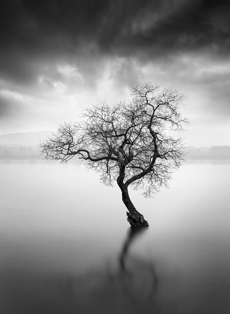 Refleksja z Lone Tree autorstwa George Digalakis