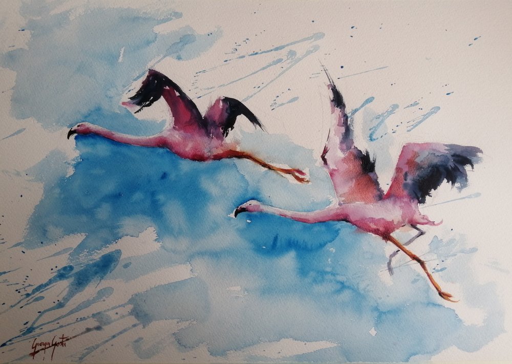 Barwny lot flamingów autorstwa Giorgio Gosti
