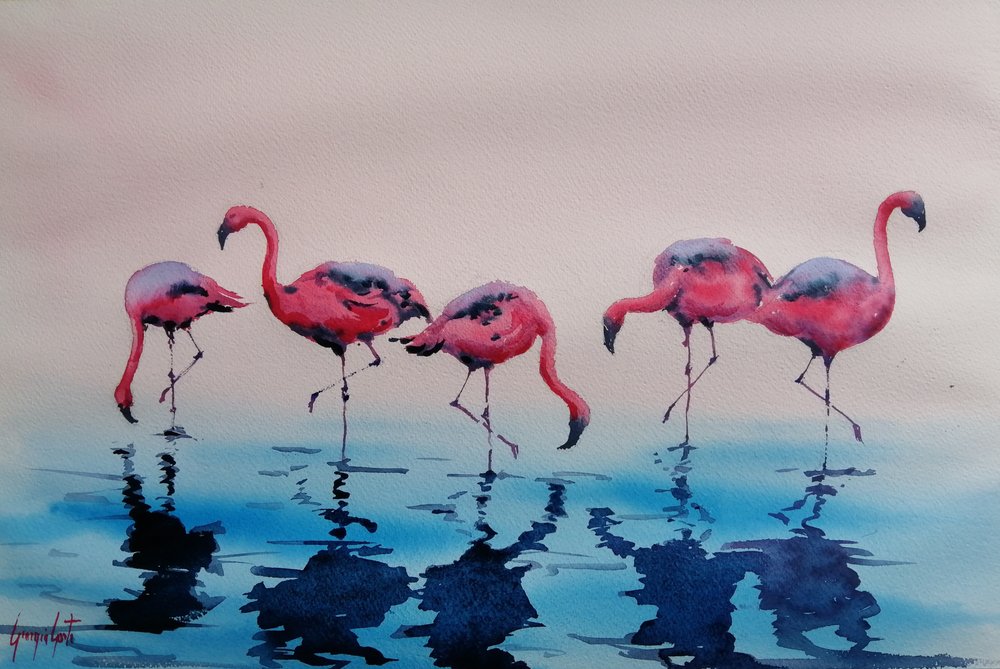 Brodzące różowe flamingi autorstwa Giorgio Gosti