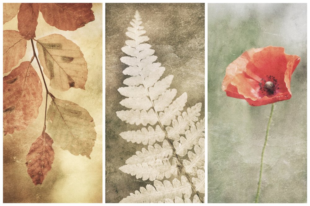 Trio Vintage Nature autorstwa Gustav Davidsson