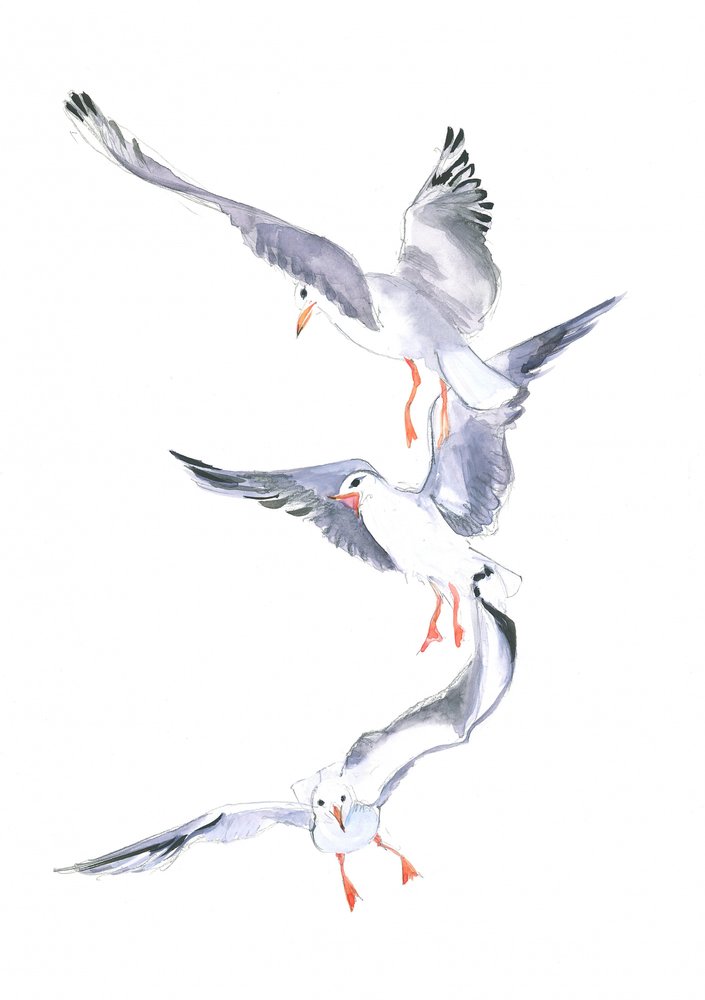 Lot mewy autorstwa Isabelle Brent