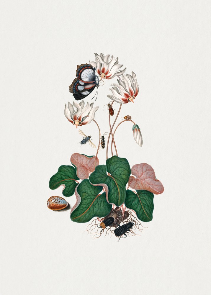  autorstwa James Bolton