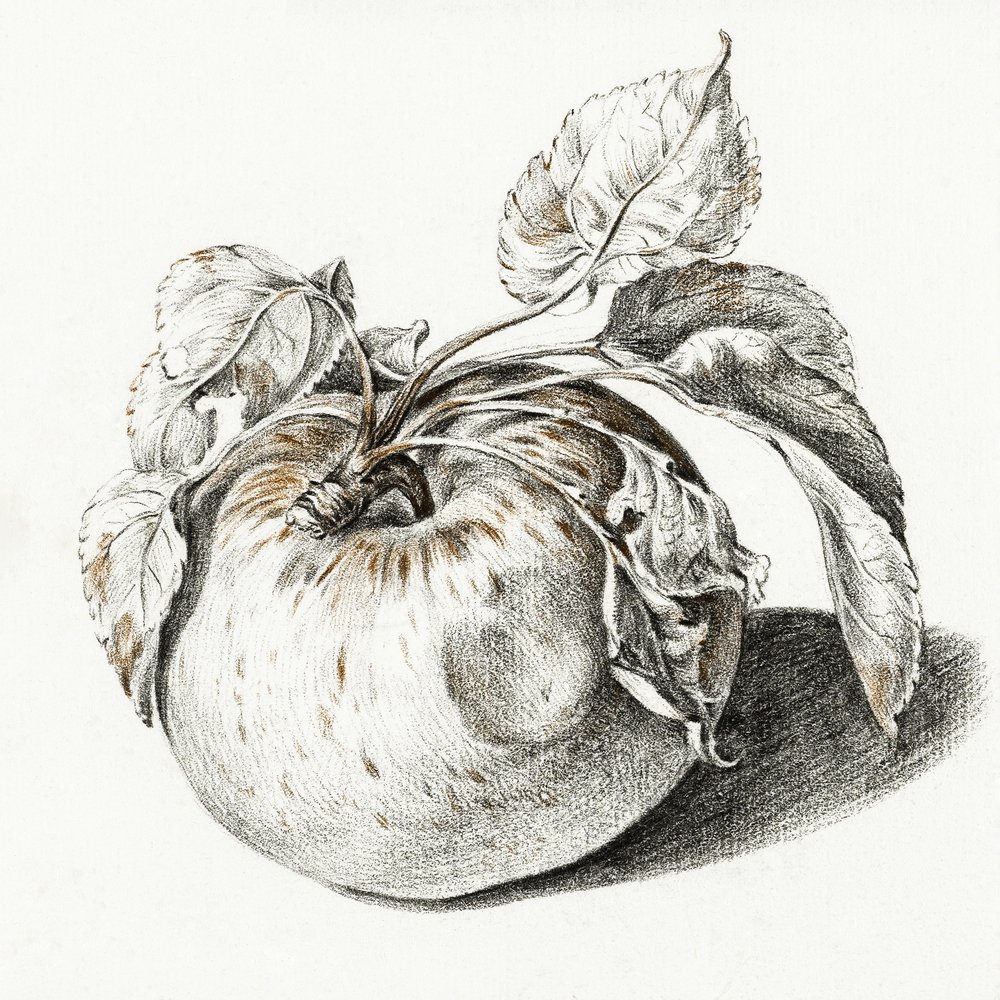 Apple autorstwa Jean Bernard
