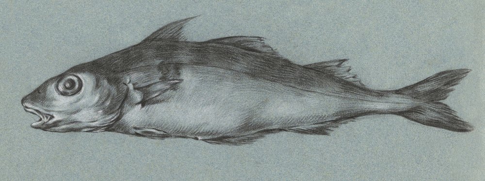 Fish Green (1775–1833) autorstwa Jean Bernard