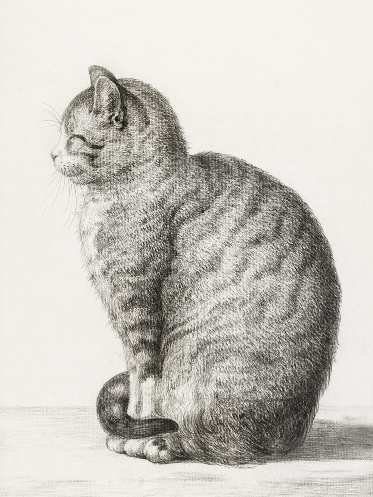 Siedzący kot (1815) autorstwa Jean Bernard