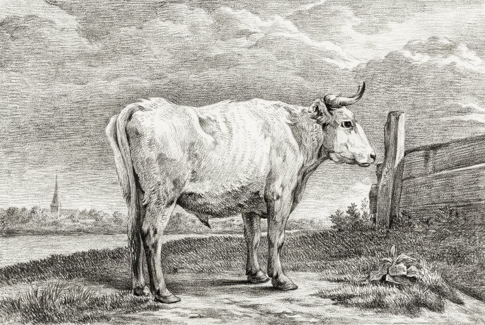 Standing Bull (1817) autorstwa Jean Bernard