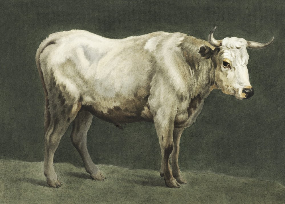 Obraz „Standing Bull” autorstwa Jean Bernard
