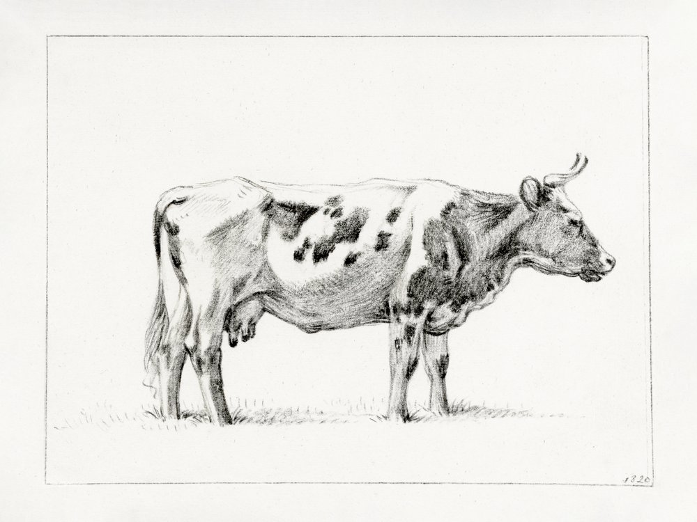Stojąca krowa (1820) autorstwa Jean Bernard