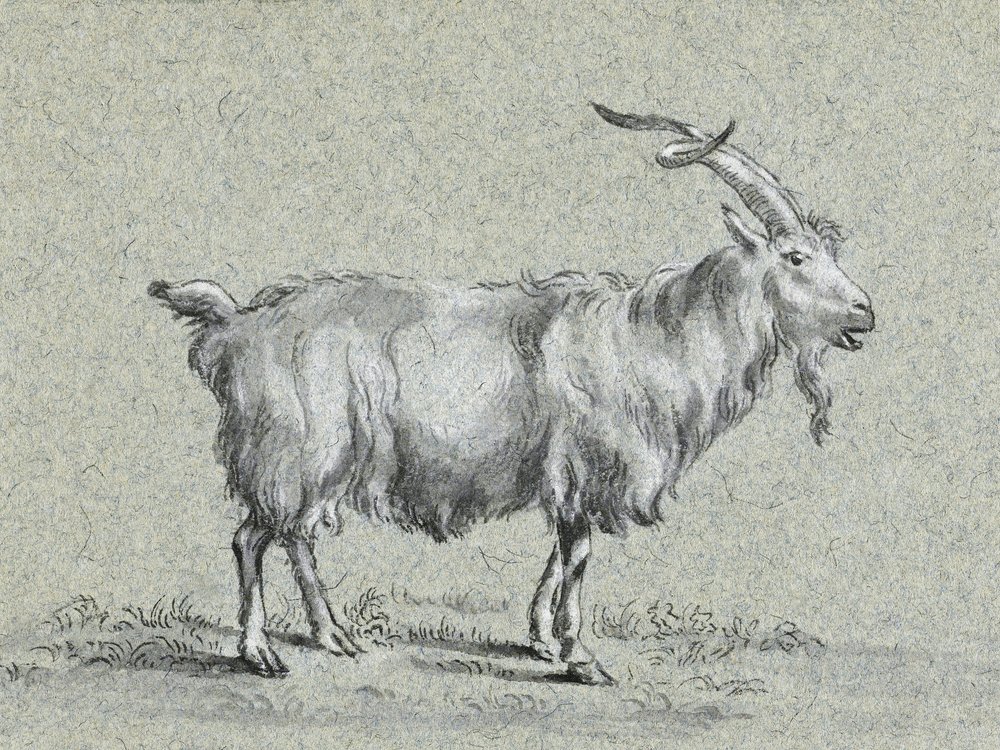„Stojąca koza” autorstwa Jeana Bernarda autorstwa Jean Bernard