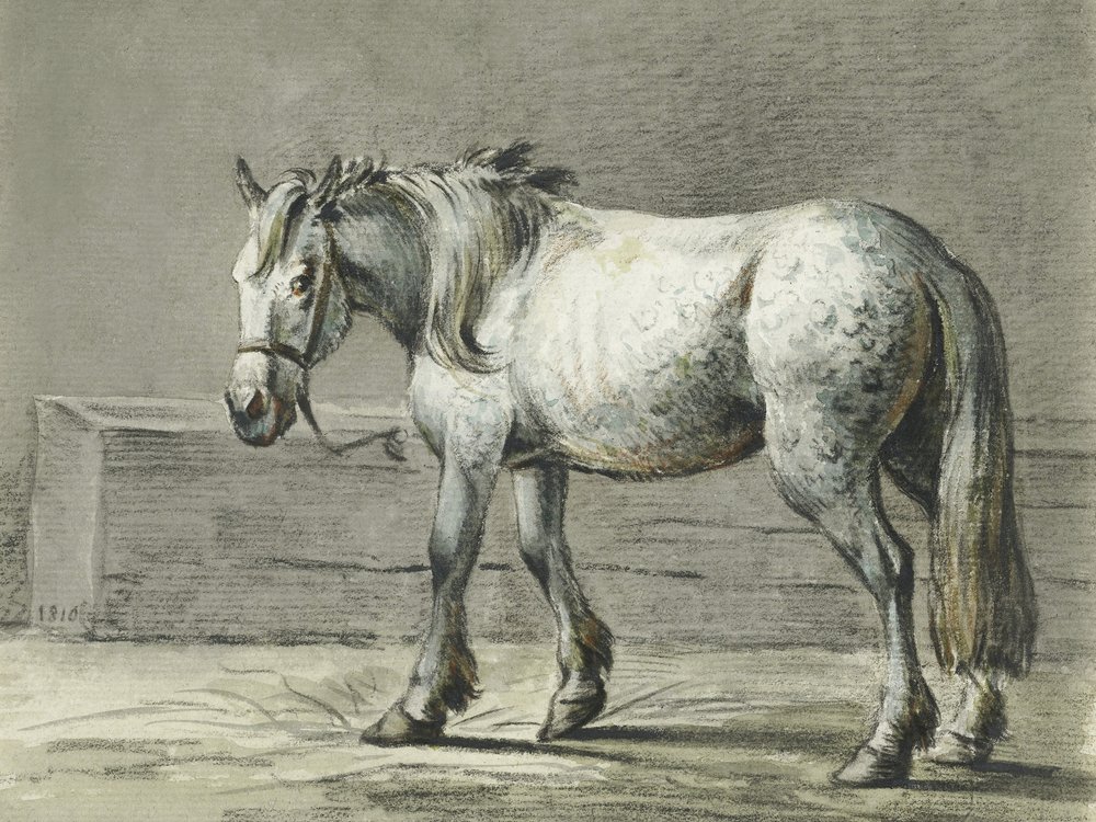 „Stojący koń” (1810–1816) autorstwa Jeana Bernarda autorstwa Jean Bernard