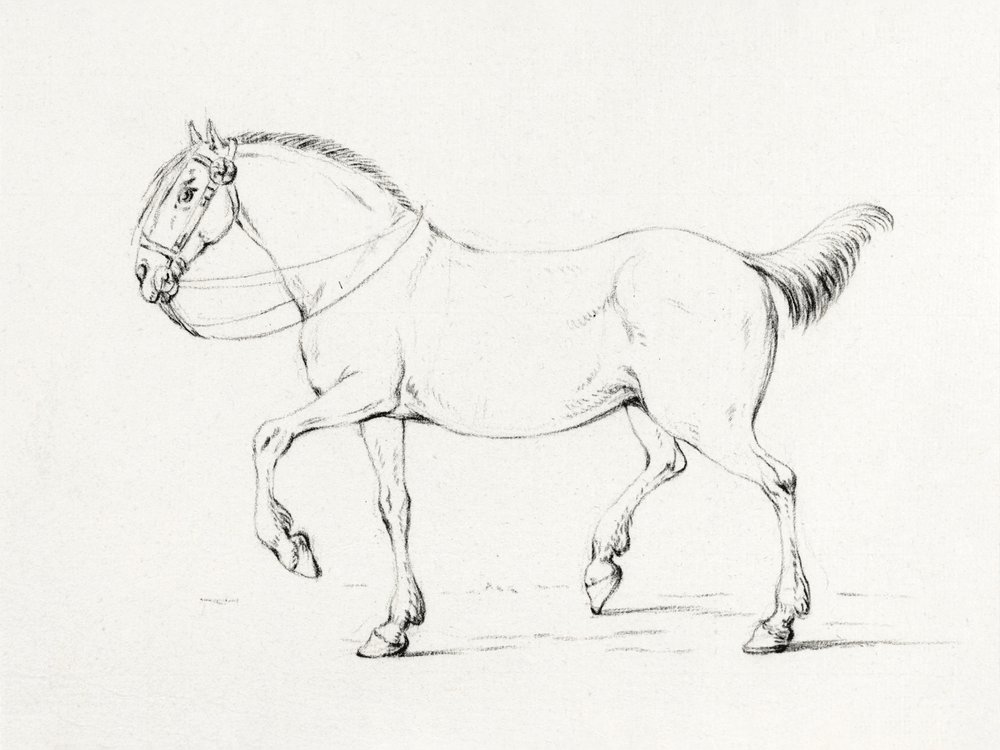 Stepping Horse (1775–1833) autorstwa Jean Bernard
