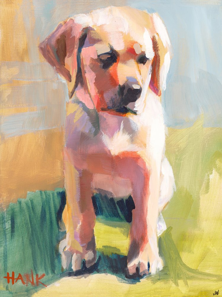 Hank autorstwa Jenny Westenhofer