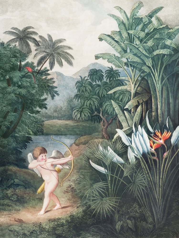 „Kupidyn inspirujący rośliny miłością” z „Świątyni Flory” (1807) autorstwa Roberta Johna Thorntona autorstwa John Thornton