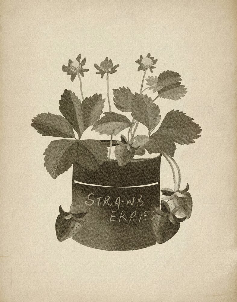 Ilustracja przedstawiająca truskawki w stylu vintage autorstwa Josie George