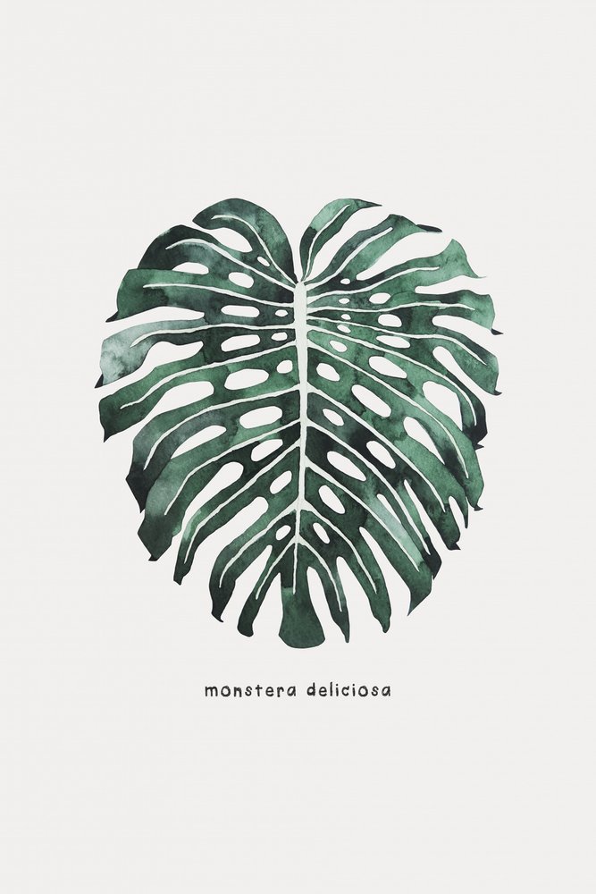  autorstwa Karen Menzenbach