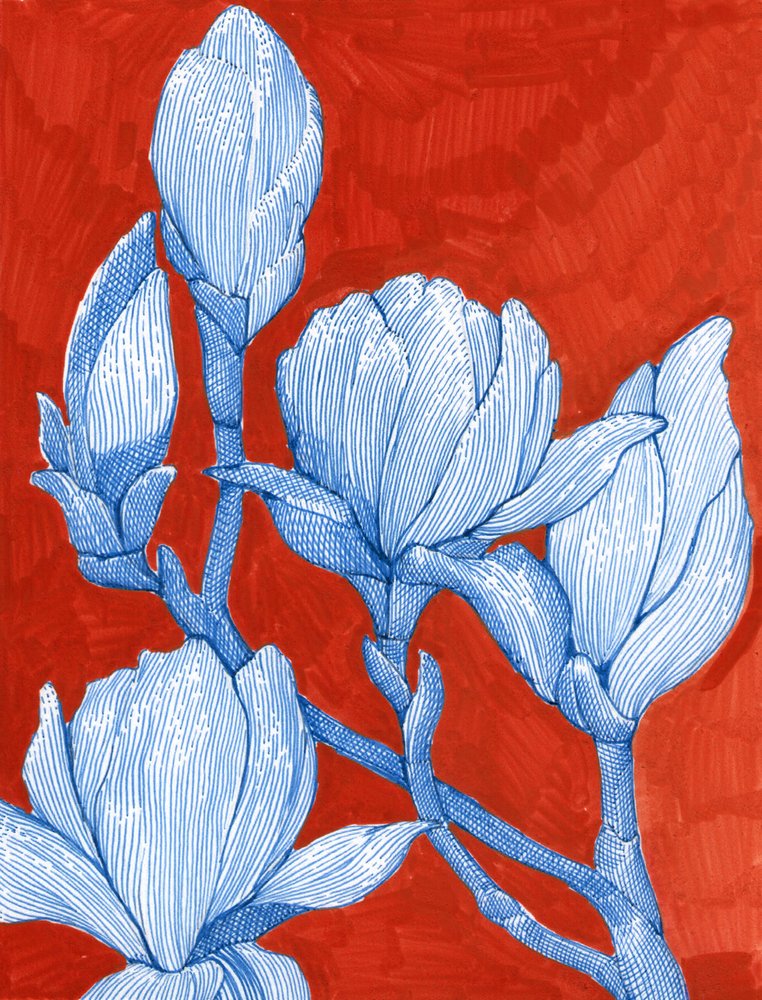 Wyraziste niebieskie magnolie autorstwa Katie O'Shea