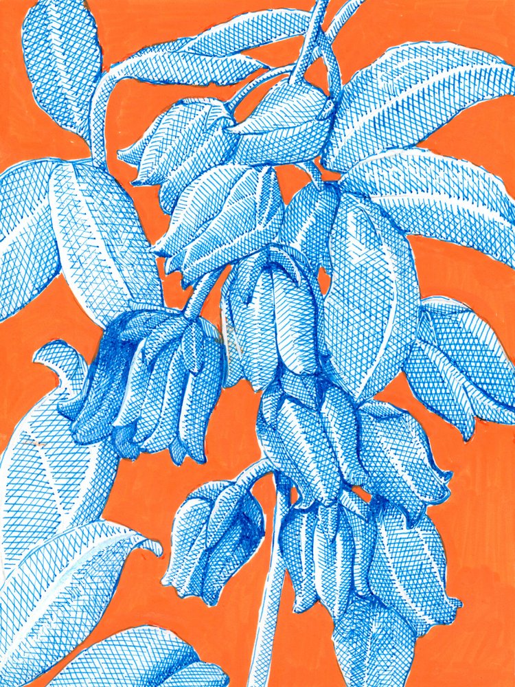Intensywne niebieskie motywy botaniczne autorstwa Katie O'Shea