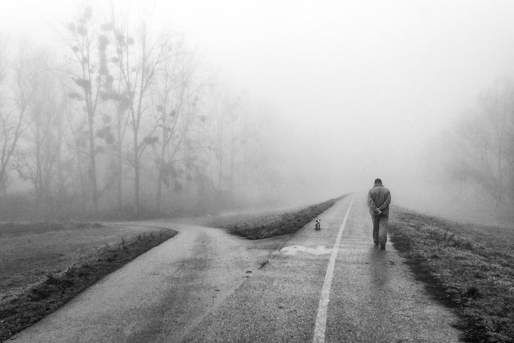  autorstwa Krunoslav Nevistic