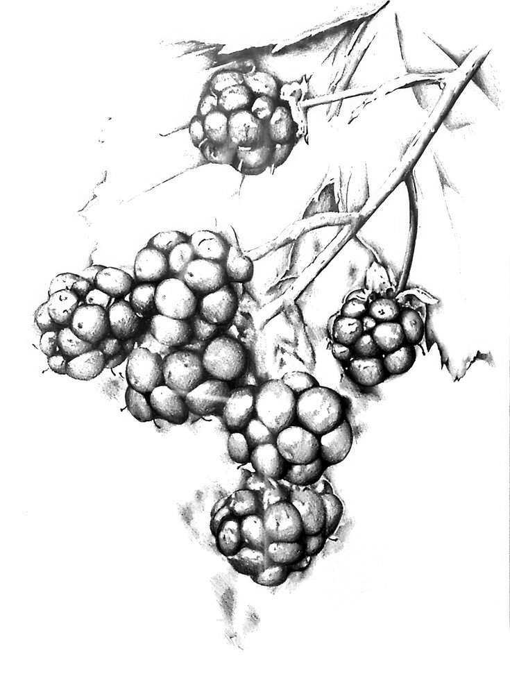  autorstwa Kulik