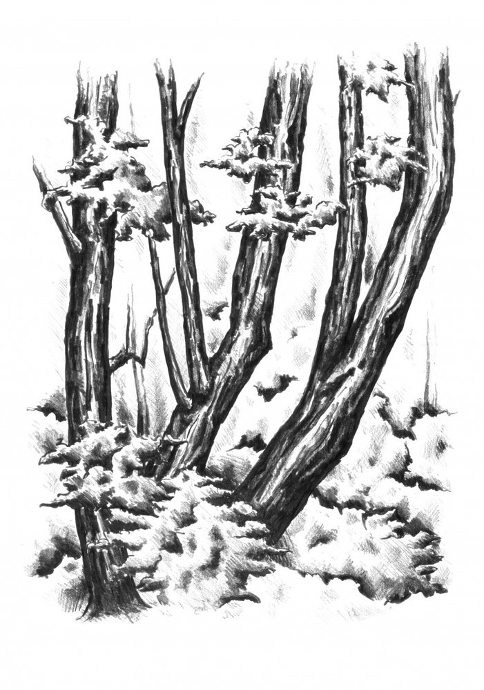  autorstwa Kulik