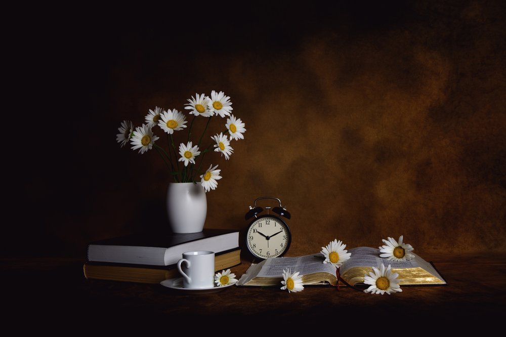 Książki „Daisies” – „Poranny spokój” autorstwa Leah Xu