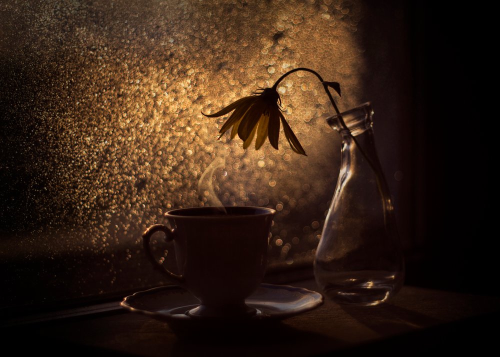 Kwiat kawy „Golden Light” autorstwa Lenka