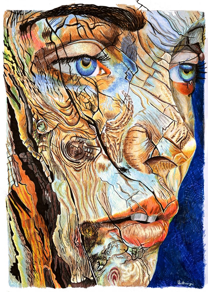 Portret na popękanej drewnianej płycie autorstwa Loretta Van Der Westhuizen
