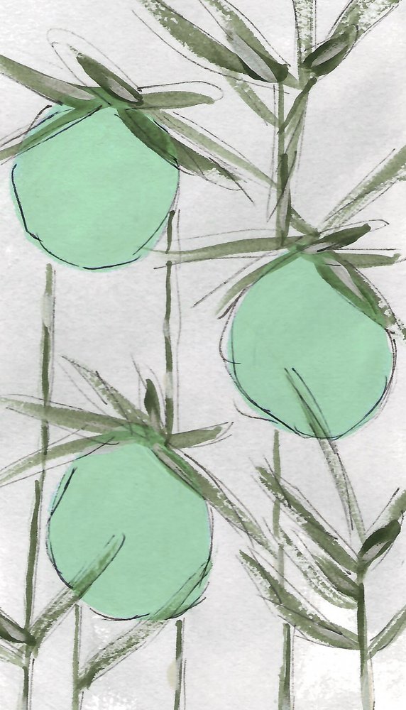 Streszczenie: Green Botanicals autorstwa Lori Ann Folz